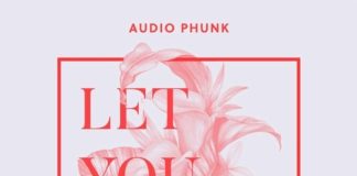 Audio Phunk - Let You Go (Original Mix) out now on IBZ Records!