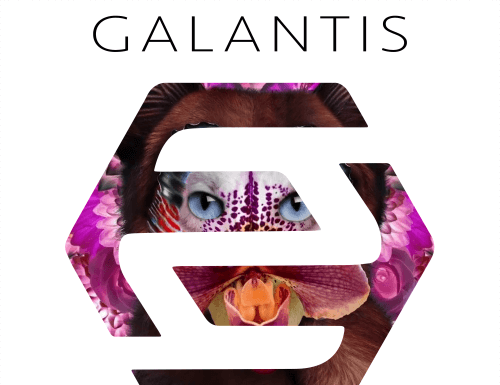 TWO FRIENDS DROP REMIX OF GALANTIS’ ‘NO MONEY’ AVAILABLE NOW AS FREE DOWNLOAD