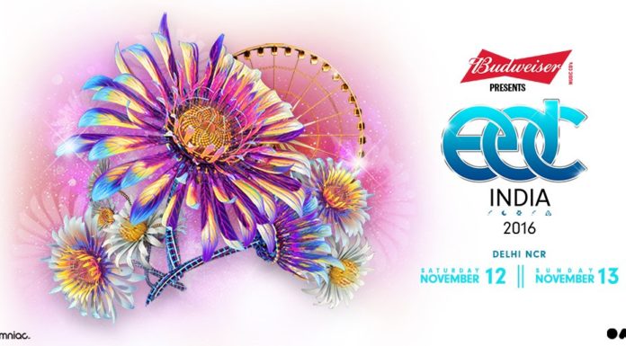 electric daisy carnival edc india