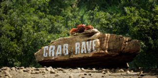 crab rave