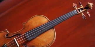 the violin