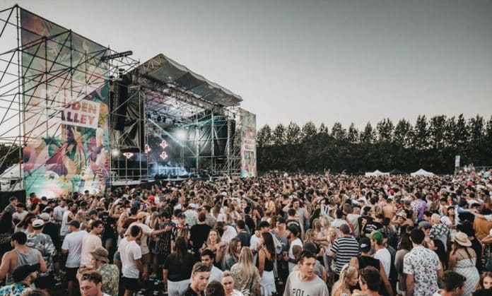 music festivals in new zealand