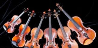 choose the right violin for your skill level