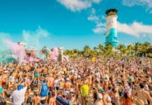 groove cruise 2025 themes