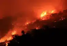 California Fires Today