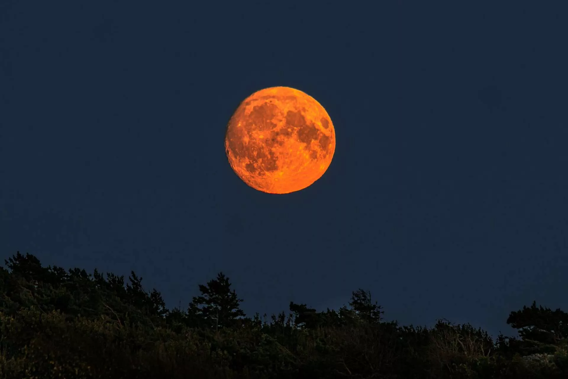 How to Spot the Wolf Moon and Mars Side by Side Tonight