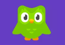 duolingo owl