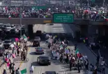 Los Angeles Protests