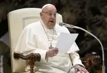 pope francis critical