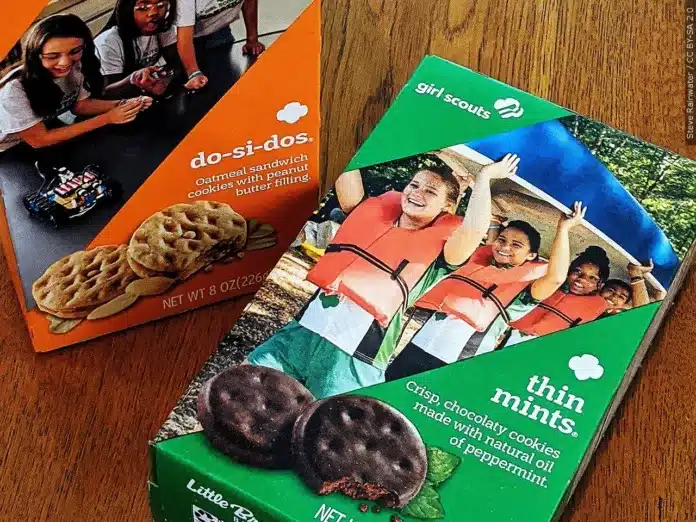 girl scouts