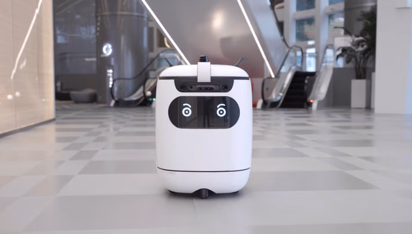 AI companion robot