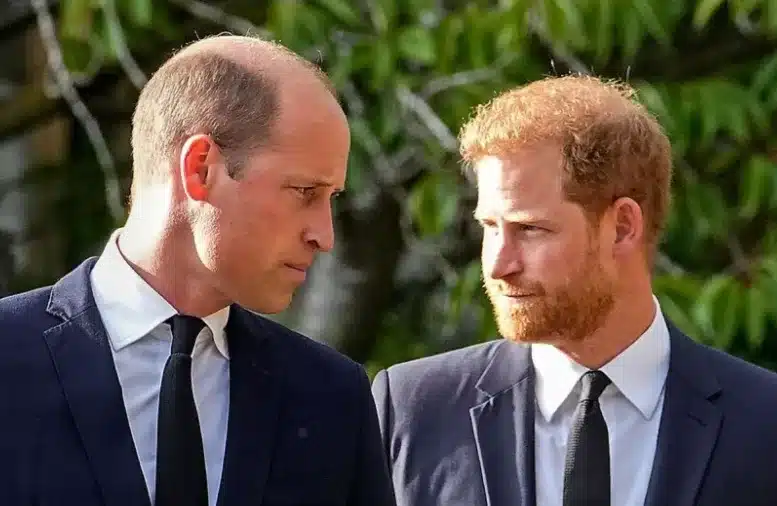 Prince Harry and Prince William feud